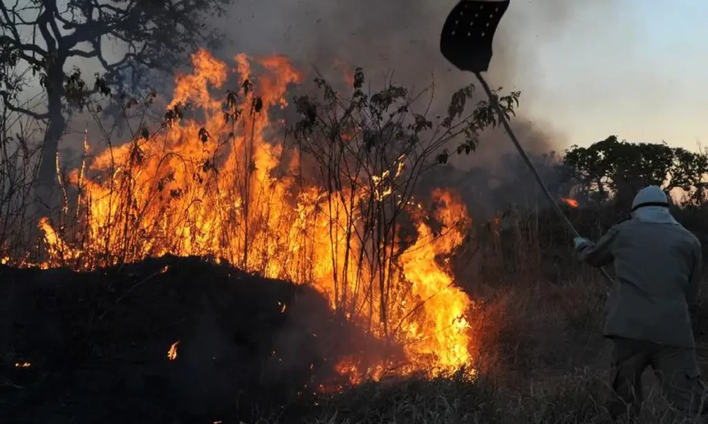 Clima seco e quente favorece desenvolvimento de grãos na Europa