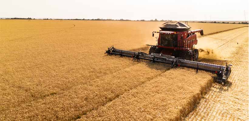 Safra de Grãos 2024/2025: Brasil Deve Bater Recorde com 318 Milhões de Toneladas