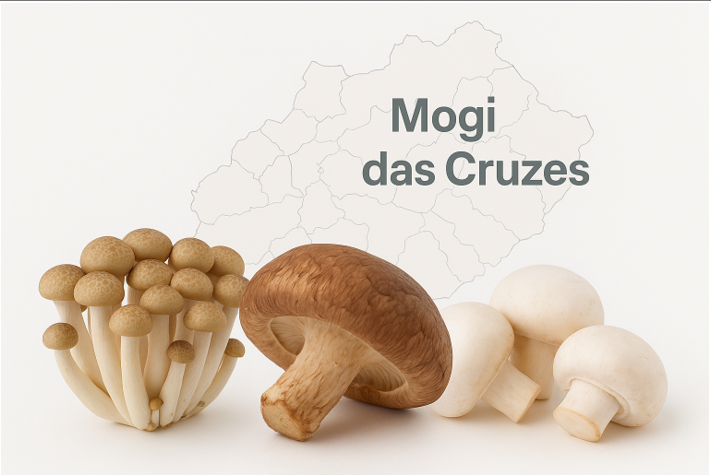 Colunista Anita Goldmann: Mogi das Cruzes consolida liderança na produção de cogumelos no Brasil