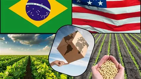 US Tarifaço nos EUA abala parceria comercial com o agro brasileiro