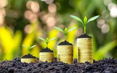 BNDES já aprovou R$ 10 bilhões em crédito para o Plano Safra 2025/26