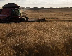 O Surgimento do Agronegócio em Mato Grosso: De Terras Inóspitas a Potência Agrícola