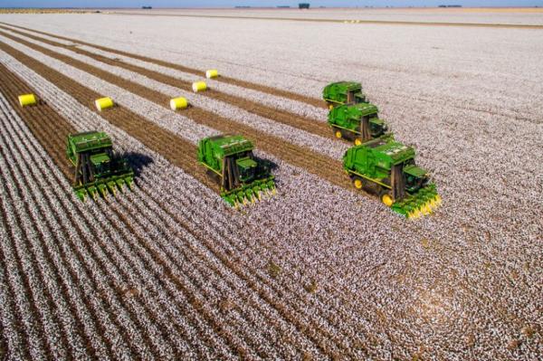 Sorriso sedia 1º Fórum de Turismo Agro Sustentável no Centro de Mato Grosso