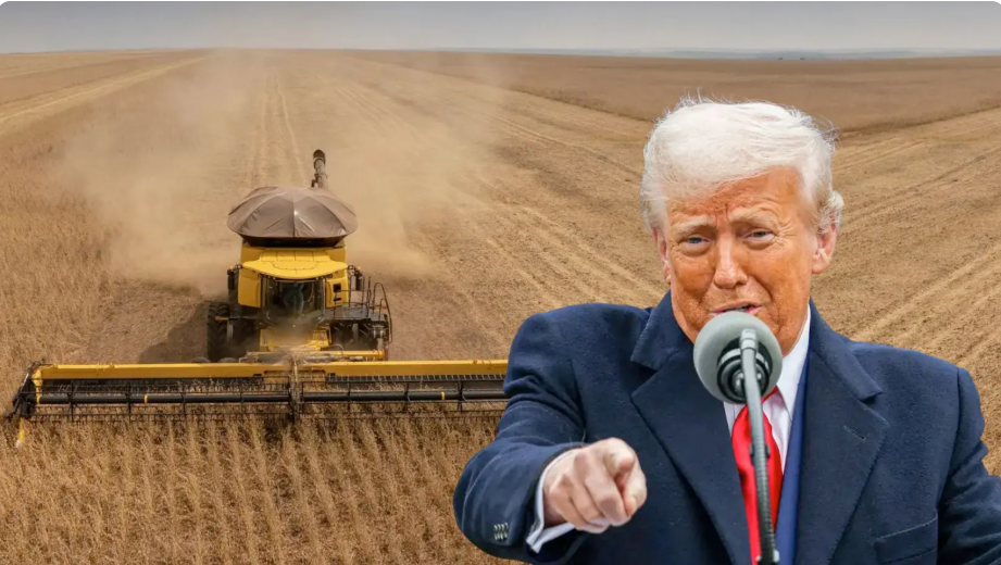 Recuperacões judiciais no agro podem bater recorde com tarífaço dos EUA