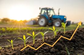 Novo Recorde, mas Margens Apertadas Exigem Cautela do Produtor