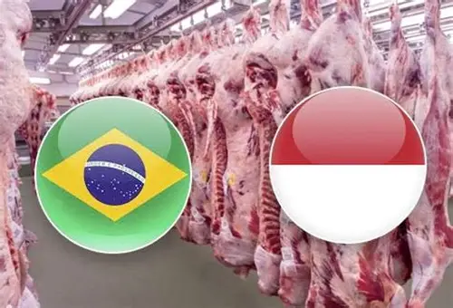Indonésia: A Nova Fronteira da Carne Bovina Brasileira