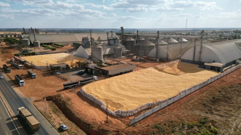 Quando o campo se prepara, a cidade colhe: sustentabilidade fortalece Sorriso diante do El Niño