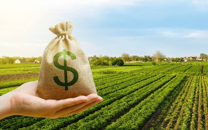 Dívida rural pode ter até 10 anos para pagar; veja juros e limites