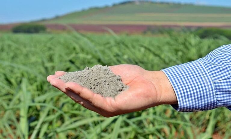 Calcário agrícola: como corrigir a acidez do solo e aumentar a produtividade