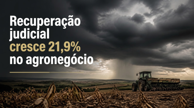 Recuperação judicial cresce 21,9% no agronegócio: entenda a “tempestade perfeita” que atinge o setor
