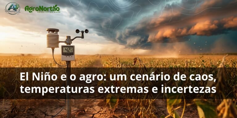 El Niño e o agro: um cenário de caos, temperaturas extremas e incertezas