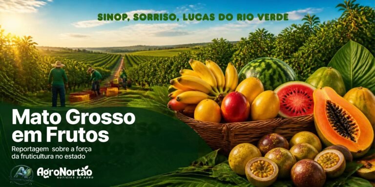 Mato Grosso em Frutos, reportagem sobre a força da fruticultura no estado