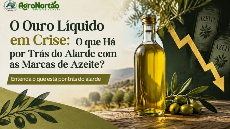 O Ouro Líquido em Crise: O que Há por Trás do Alarde com as Marcas de Azeite?