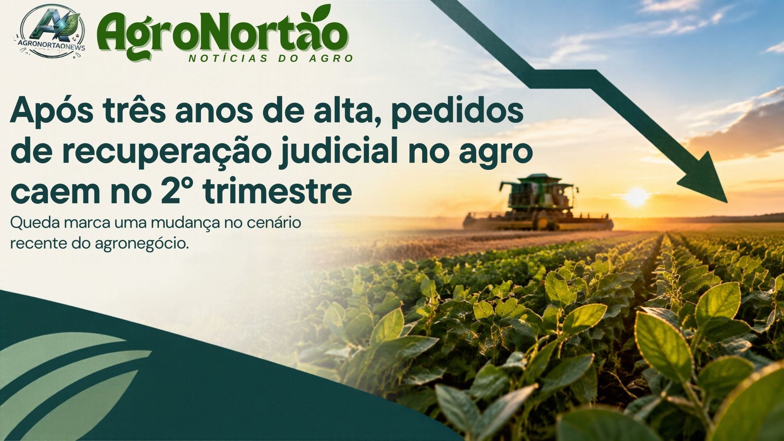 Após três anos de alta, pedidos de recuperação judicial no agro caem no 2º trimestre