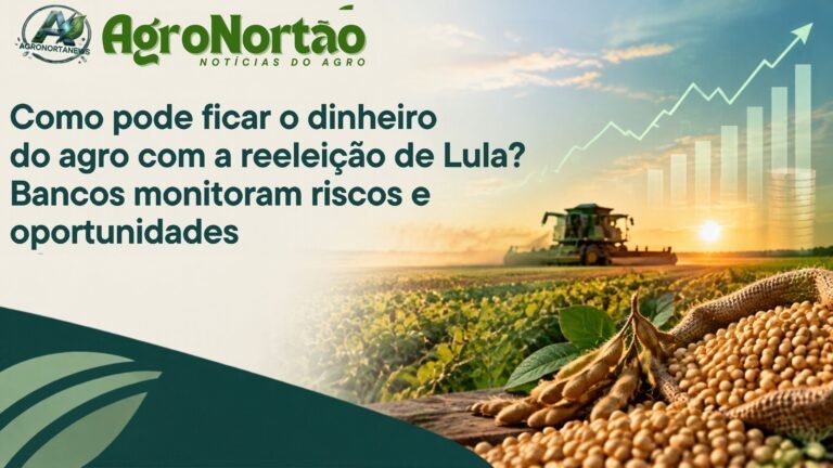Como pode ficar o dinheiro do agro com a reeleição de Lula? Bancos monitoram riscos e oportunidades