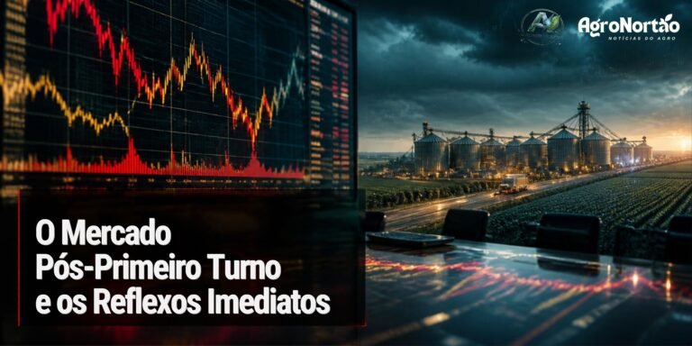O Mercado Pós-Primeiro Turno e os Reflexos Imediatos