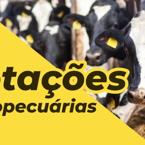 Cotações agrícolas para esta semana de 6 a 10 de outubro de 2025
