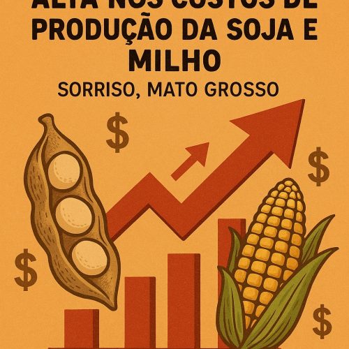 Alta nos Custos de Produção da Soja e Milho em Sorriso, Mato Grosso
