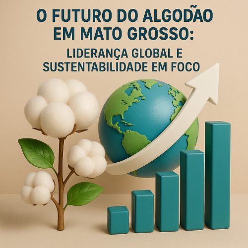 O Futuro do Algodão em Mato Grosso: Liderança Global e Sustentabilidade em Foco  Introdução