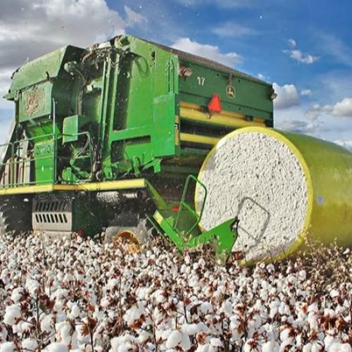 Como a automação sustenta a liderança de Mato Grosso na produção de algodão