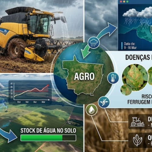 Norte de MT: Umidade Persistente Desafia Retirada da Soja e Plantio da Safrinha