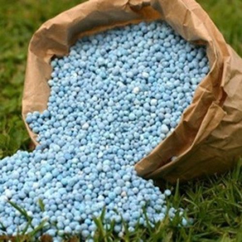 Mercado de fertilizantes: licitação indiana pode reforçar tendência de alta nos preços globais da ureia