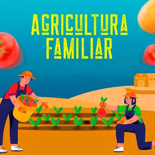 Programa Terra Forte Alavanca Agricultura Familiar: Hortifrútis Geram Renda e Segurança Alimentar na Região