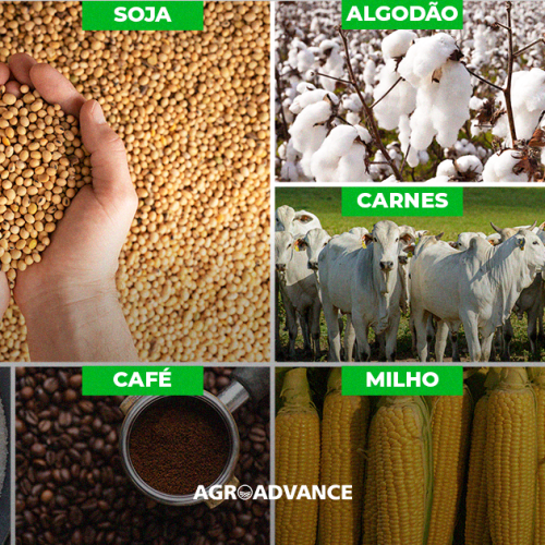 Mercado de Commodities Agrícolas em Outubro de 2025: Soja, Milho e Trigo em Alta Moderada Enquanto Café e Açúcar Recadam