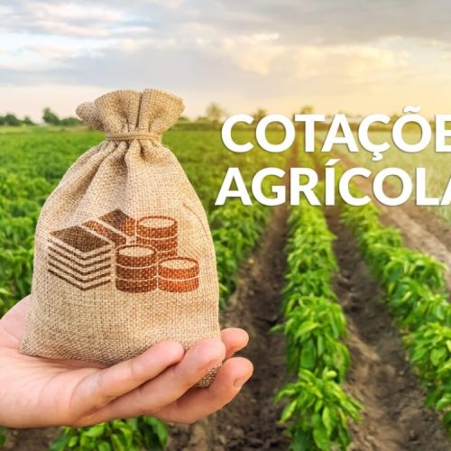 Abertura da semana: O que esperar das cotações no agronegócio?