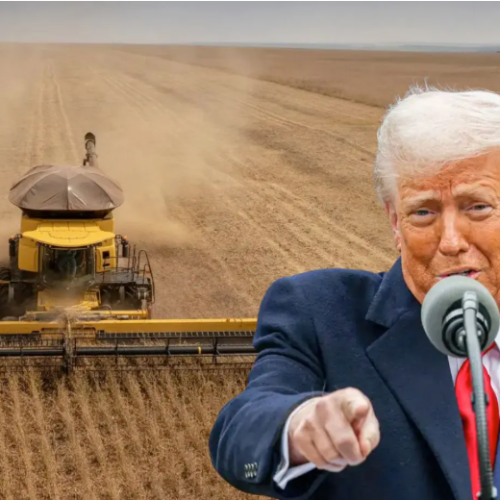 Recuperacões judiciais no agro podem bater recorde com tarífaço dos EUA