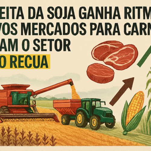 Colheita da Soja Ganha Ritmo e Novos Mercados para Carnes Animam o Setor; Milho Recua