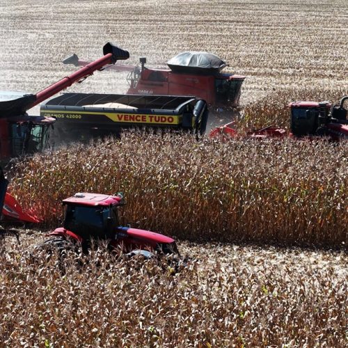 Lançamento da Safra 2024/2025 em Sorriso (MT) marca expectativa de produção recorde