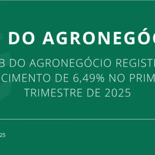 PIB do agronegócio registra crescimento de 6,49% no primeiro trimestre de 2025