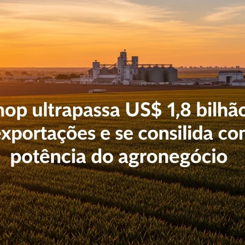 IMEA projeta safra de soja MT acima de 50 milhões de toneladas.