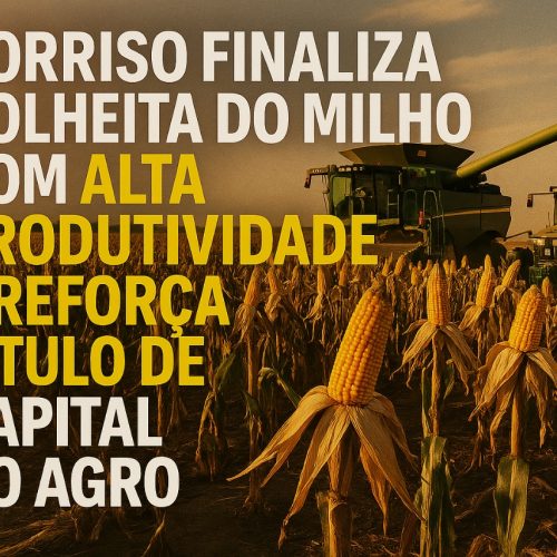 Sorriso Finaliza Colheita do Milho com Alta Produtividade e Reafirma Título de Capital do Agronegócio