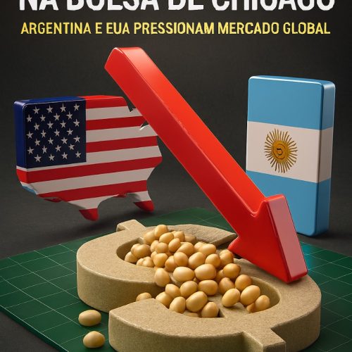 Soja em queda na Bolsa de Chicago: Argentina e EUA pressionam mercado global