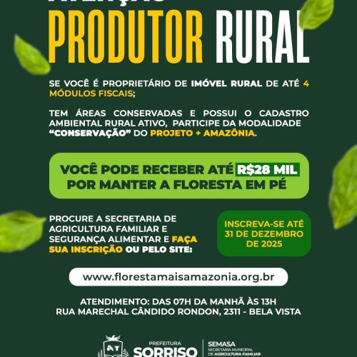 Produtor rural, você pode receber até R$ 28 mil por manter a floresta em pé!