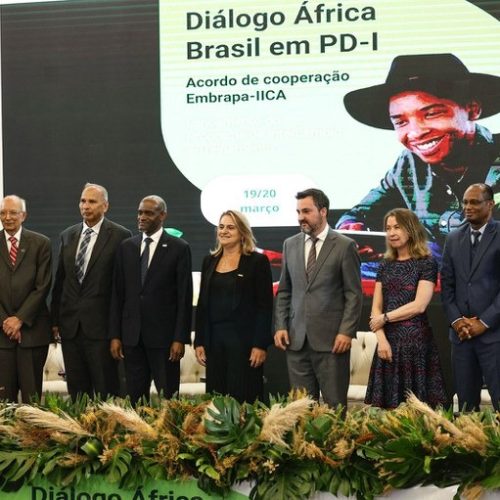 Parceria Estratégica: Mato Grosso e África Fortalecem Cooperação no Agronegócio