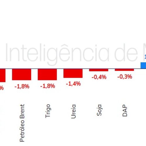 Cotações Agrícolas: O Que Esperar Para Esta Semana – Soja, Milho, Café e Boi Gordo em Foco