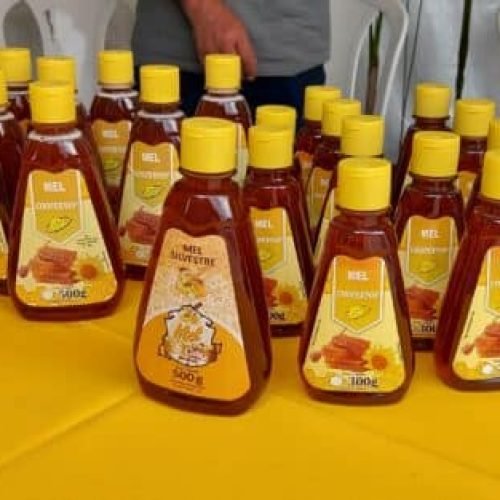 O mel artesanal de Sinop representará Mato Grosso na COP30, destacando produção local sustentável