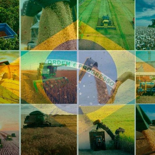 Mato Grosso no Centro do Agro: Safra, Logística e Sustentabilidade em Destaque