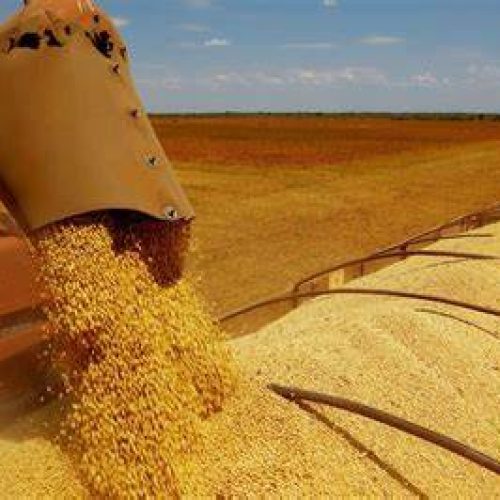 Soja trabalha de lado na Bolsa de Chicago nesta 3ª feira, de olho em fundamentos e macrocenário