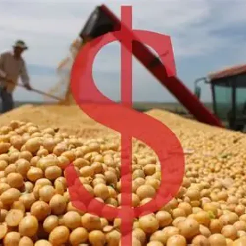 Cotações da Soja e do Milho  no Norte de Mato Grosso