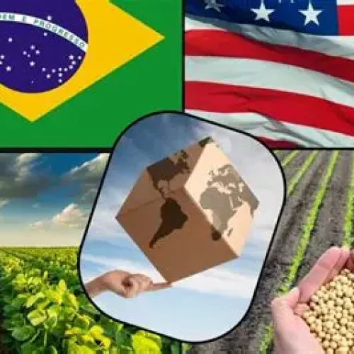 US Tarifaço nos EUA abala parceria comercial com o agro brasileiro