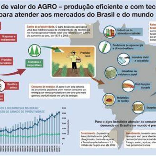 Brasil no Topo do Agro Global: País Se Consolida como Maior Exportador de Commodities em 2025