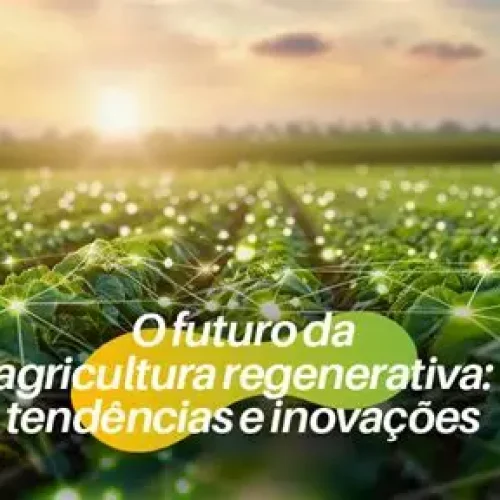 Agricultura Regenerativa: O Futuro do Agro Global em 2025