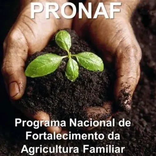 Força-Tarefa da Seaf e Empaer Garante Acesso de Agricultores Familiares ao FUNDAAF em Mato Grosso
