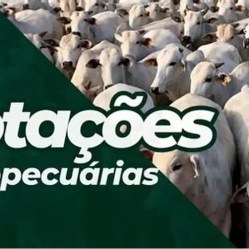 Cotações do Dia – 03/07/2025