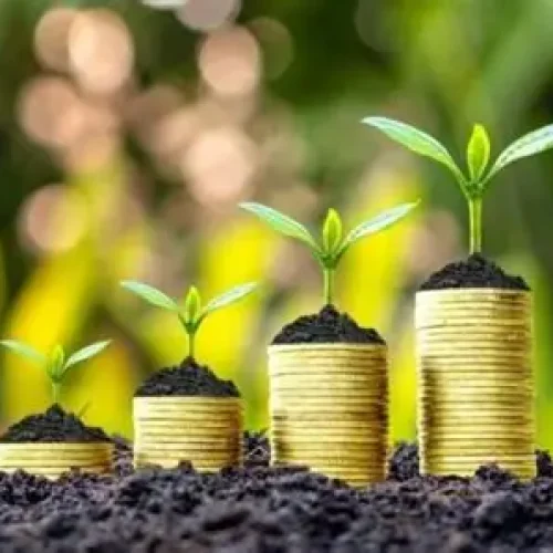 BNDES já aprovou R$ 10 bilhões em crédito para o Plano Safra 2025/26