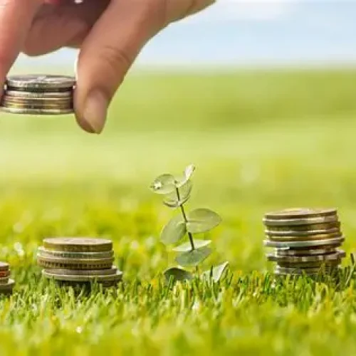 Crédito Rural em Alerta: Inadimplência Cresce e Pressiona Sustentabilidade do Agro